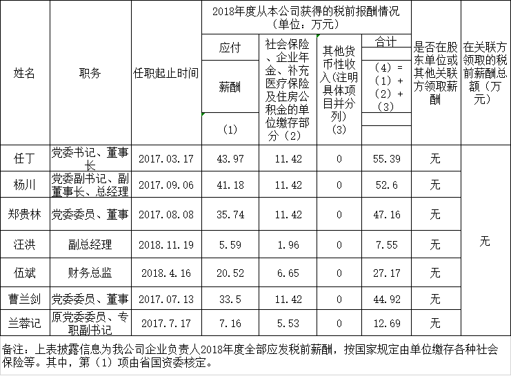 尊龙集团官网掌管人2018年度薪酬情况