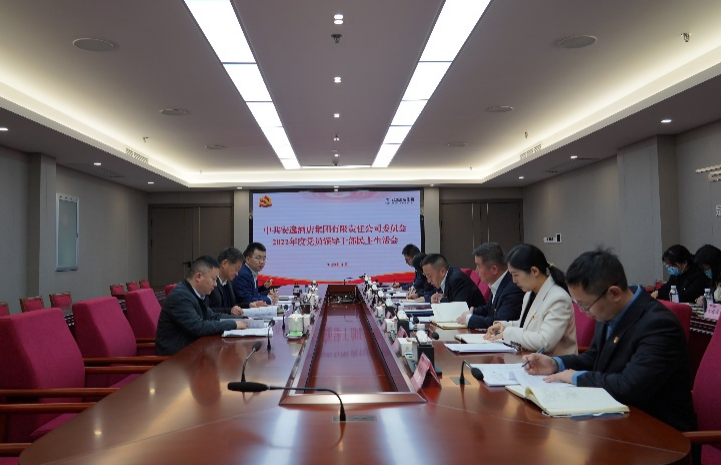 f03541e2-e9b6-469b-b38b-e88d95e15767 尊龙集团官网集团党委书记、董事长任丁出席安逸酒店集团2022年度党员辅导干部民主生涯会